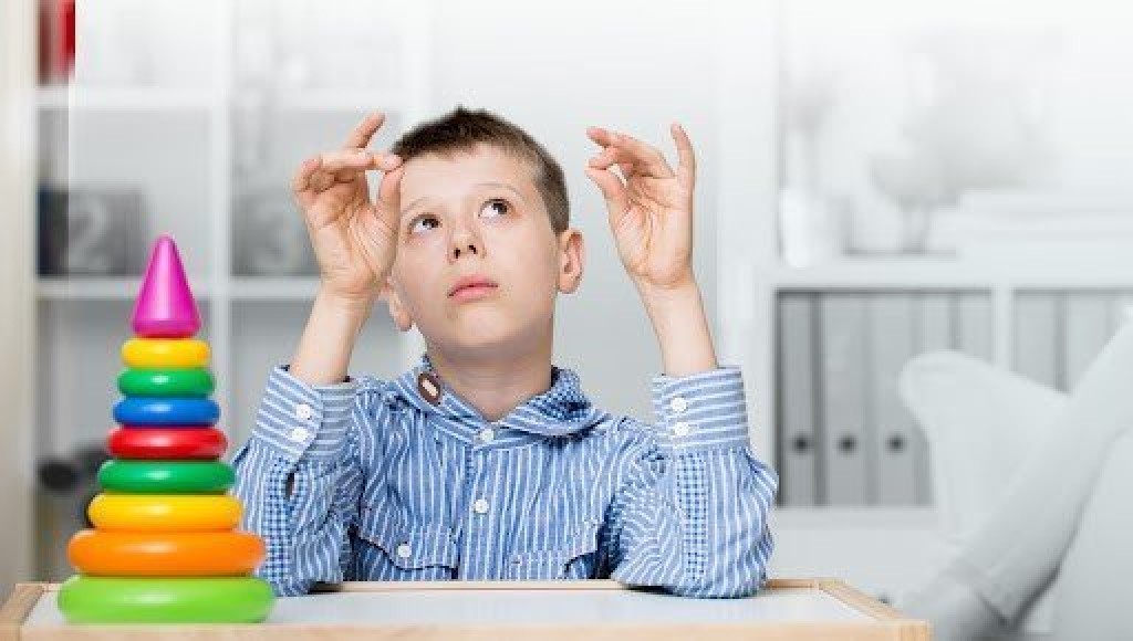 Zihinsel Engelli Bireyler